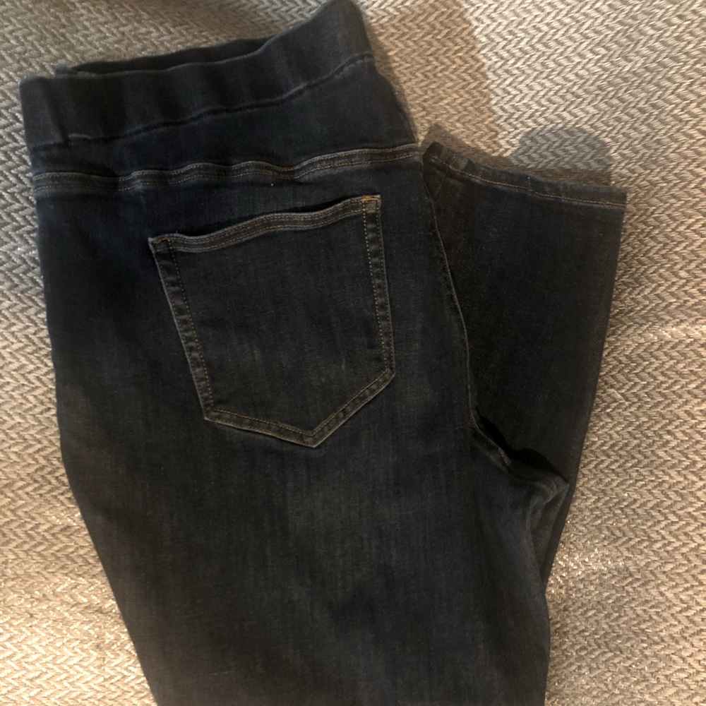 Lands end plus size jegging